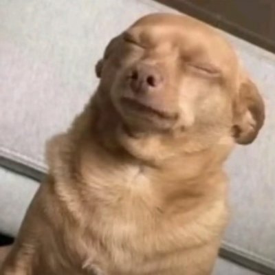 Meeshft's profile picture. no one cares about your sports bet