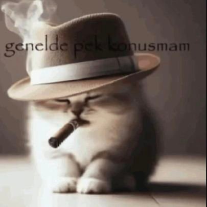 kirikyelken7's profile picture. ego sum qui sum