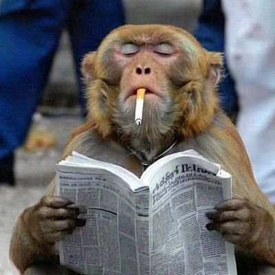 Dike_Atuegu23's profile picture. Anam esi ndu ndu| Ndi kwe na Ndi ekwena| common sense is not common|