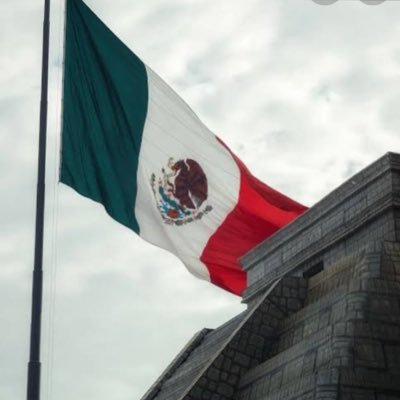 schnauzer741's profile picture. 