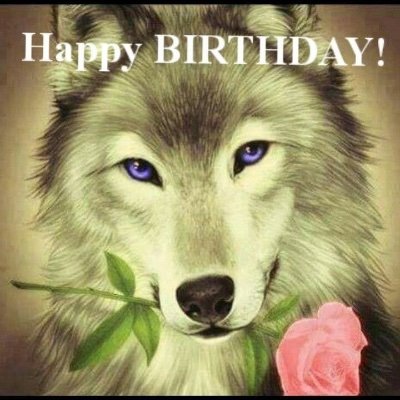 Timothi3399's profile picture. 