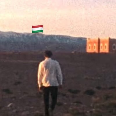 TheHunLad1's profile picture. Here to tweet about Hungarian football and more leagues! 🇭🇺 #HajráMagyarok @MLSZhivatalos @Fradi_Hu | @TheHunLadPriv