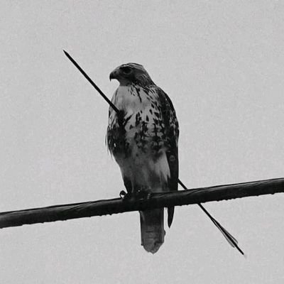 CelestineKamal1's profile picture. Education