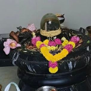 krishn53159's profile picture. Be Happy