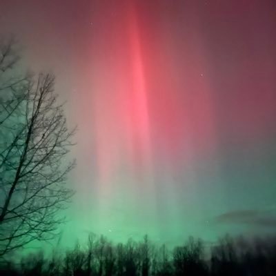 MikeVake's profile picture. Christian, USNVet (Shellback), Musician, Paramedic-retired, Hunting, Birddogs, Fishing, Fitness, Homesteading, America First! 🇺🇸 *NO DMs* Happily Married*