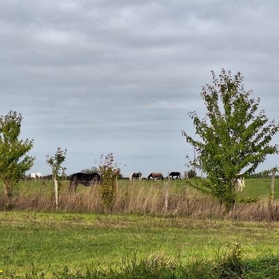 Etoilefee2's profile picture. La vie ne tient qu'à 1 fil. Profitez de chaque moment qu'elle vous offre. 
                          ⛔️No Porn⛔️
Photos du web sauf perso