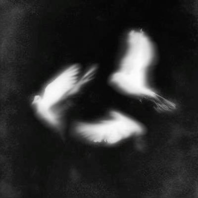 sn6wfall's profile picture. Удовольствие