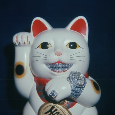 KittehCoinCTO's profile picture. 