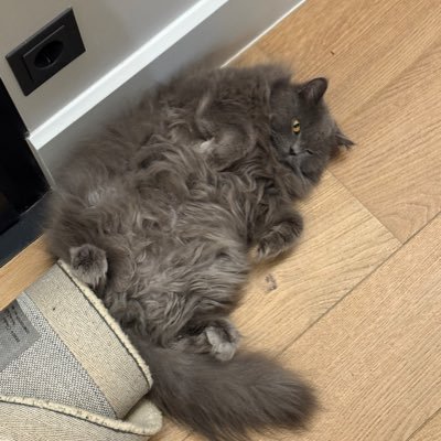 GhandourMr95896's profile picture. Giant Sparky⚡️