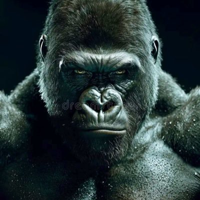 NIndustrie72080's profile picture. 