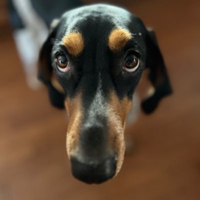 nrsdawg's profile picture. Jesus: “Render to Caesar what is Caesar’s.”   America FIRST—vets, kids, borders.   Fixing home isn’t hate; Pray for Israel & Ohio. Both are needed and true.