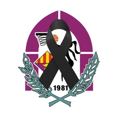 FemSantAdria's profile picture. Twitter Oficial del Femení Sant Adrià