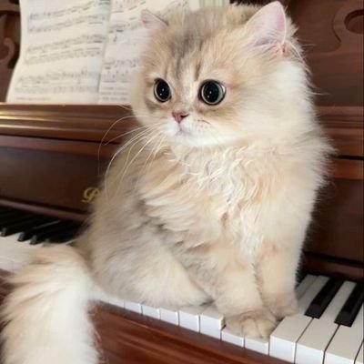 biwimomocoffee's profile picture. Food | Foody | Foodies