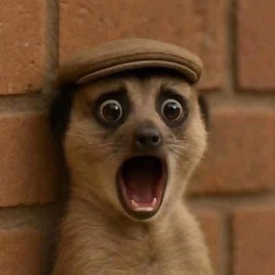 Tomtomzy9Tomiwa's profile picture. 