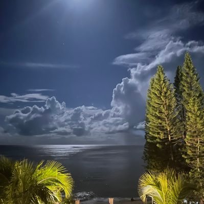 abdulilahmosa1's profile picture. أكَادِيْمِيٌّ | أُسْتَاذٌ مُسَاعِدٌ | مُتَخَصِّصٌ في الأَدَبِ العَرَبِيِّ ونَقْدِهِ