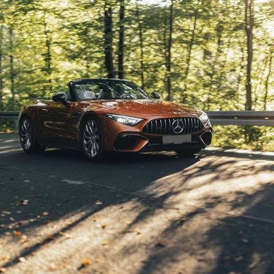 SurenderDahiy15's profile picture. Trader & Investor..