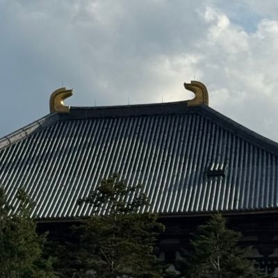 DILsrjsDOy4K3UI's profile picture. AI相場にダイブ