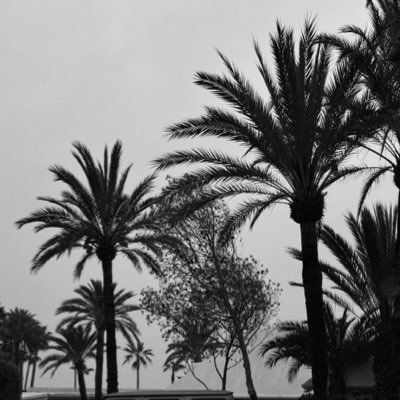 s3kee's profile picture. 