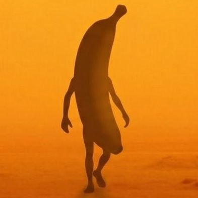 QT_Singularity's profile picture. On my #Crypto Journey. Interested in Layer 1s $Eth, $Sol, $SUI and #NFTs