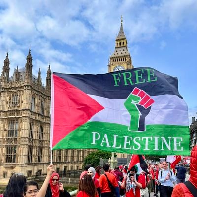 emily_harris95's profile picture. An accountant, pro Palestine
Nothing makes me feel better than driving🥰

FreePalestine🇵🇸