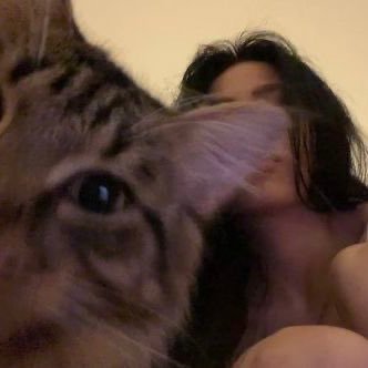 hazelingverse's profile picture. \ like the sun in winters.