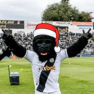 centralde1900's profile picture. FAN ACCOUNT | Tudo sobre o maior time do interior | As vezes eu falo sério