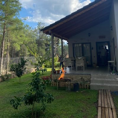 Barfb2025's profile picture. 