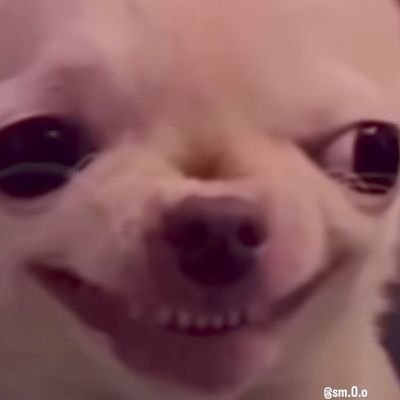 ThugPugOfficial's profile picture. Official ThugPug Genetics 🌱
Worldwide shipping now available 🌎