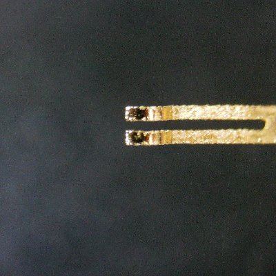 domo_arigato_o's profile picture. 