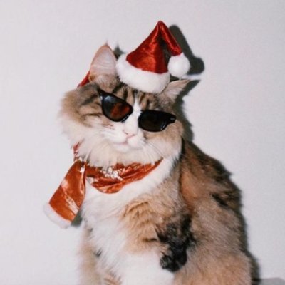 notaboutyu's profile picture. histérica e histórica