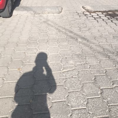 Elver_gon99's profile picture. 