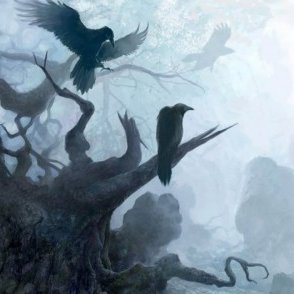 Ravenocta's profile picture. 