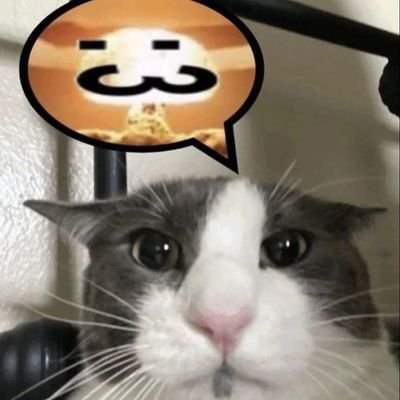 MoncatYT's profile picture. 🎂 11 de agosto 2009
🎨 Subo dibujos (y más)
💬 Envia MD, si quieres algun dibujo como lo gustes, precios discutibles
🍞 ¡Un gusto!🍞 
📺 Mi YouTube :D