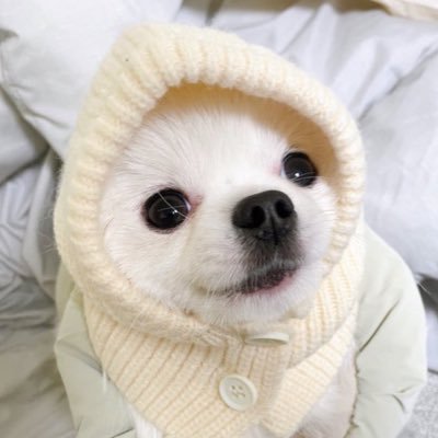 daldal913's profile picture. 추버 / 비계팔 정리합니다〰️