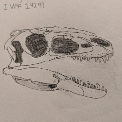 Bob_3425's profile picture. 