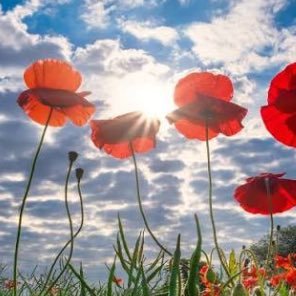 AAway59540's profile picture. 