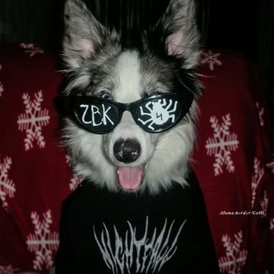 Twink_de_ADM's profile picture. O universo age de maneiras misteriosas e maravilhosas. E eu também.