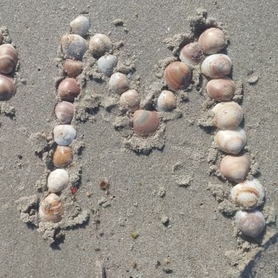 Mahmood902Rm's profile picture. A Palestinian son of Gaza