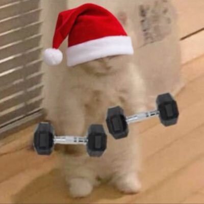 gymkittty's profile picture. howdy