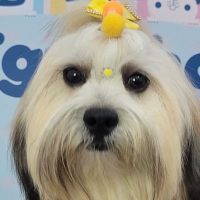 ArleteMiranda8's profile picture. 