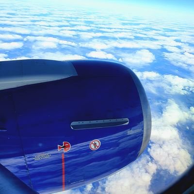 Asif07077's profile picture. I'm a nature lover who enjoys traveling, cooking, gardening, posting my own photography, and advocating for peace. 🌍✈️👨‍🍳🌿📸🕊️