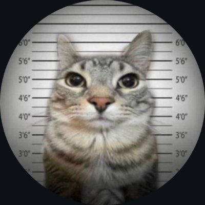 Ovox21De's profile picture. Novinho da rola grossa aqui, de Manaus.  Alguem quer divertir pouco, chama ai .