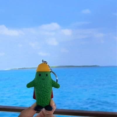 nicarago's profile picture. 🗼都内在住🗼・👨‍⚕️目指せ億り人！