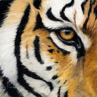 CanDisenchanted's profile picture. Pro Peace | Centrist | I prioritize practical policies over political ideologies. Oppose corruption & ignorance in governments| Philanthropist |