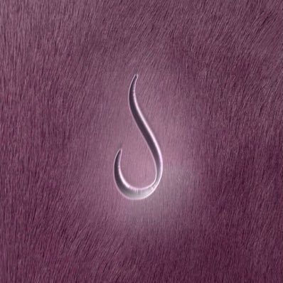 lalmulihi's profile picture. HR Student #IMSIU