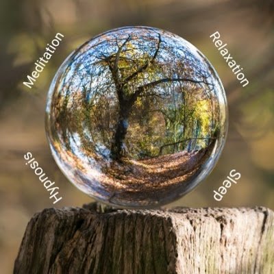 thearashkh's profile picture. 