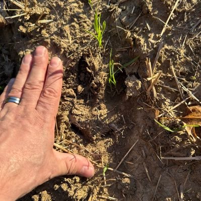 huntordie1776's profile picture. Not here for bs