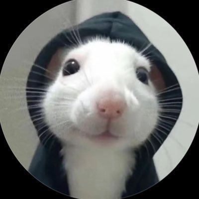 nguyen66255's profile picture. 