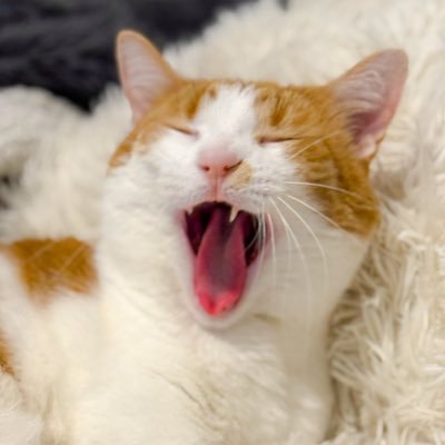 _OhHeyItsJenn's profile picture. 