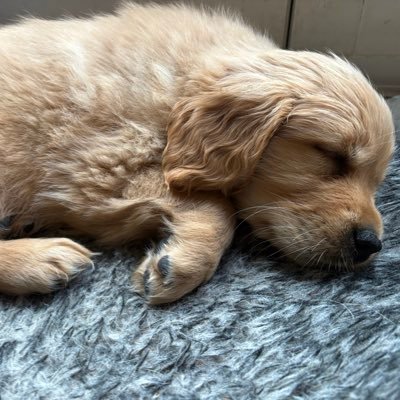 Tonya_Bond_'s profile picture. 